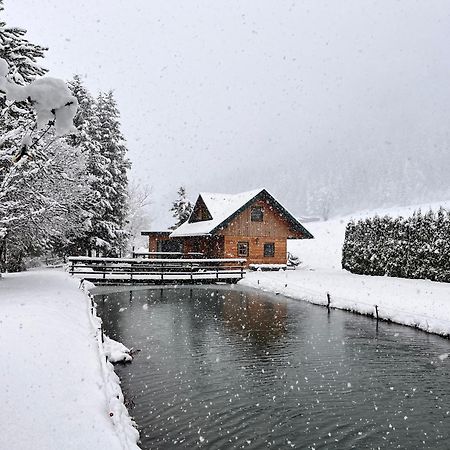 Chalet Am Teich Familie Gaenser Villa Feistritz am Kammersberg Exterior foto